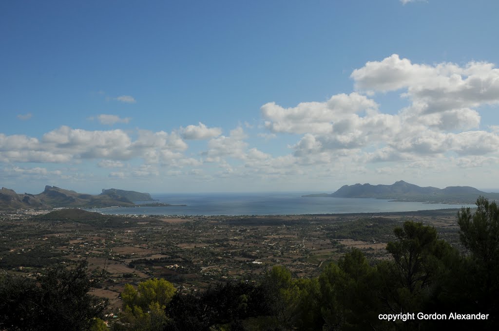 Port de Pollenca, Majorca by Gordon Alexander