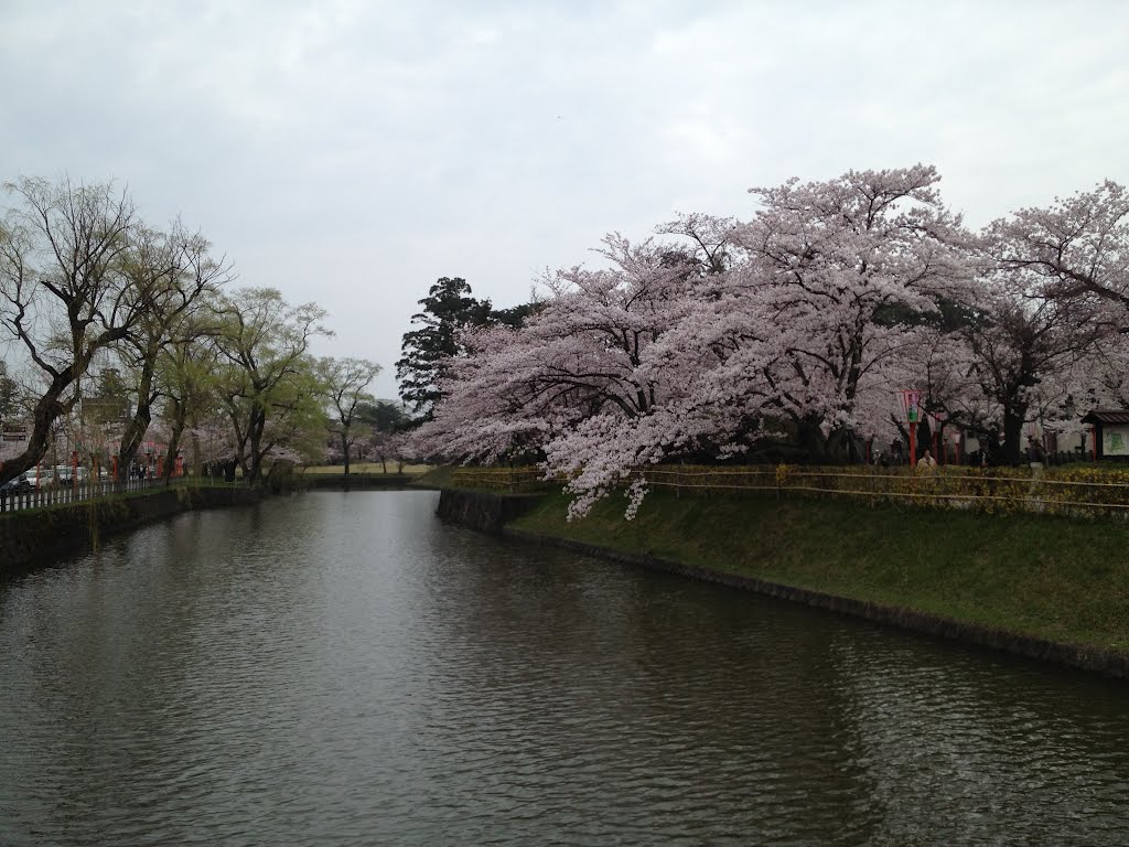 鶴岡公園 by tftf