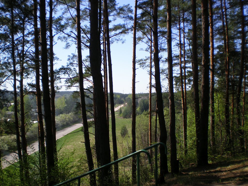 Verkių gatvė žvelgiant nuo Staviškių piliakalnio - Verkiai Street viewed from the Staviškės mound by Gintarele