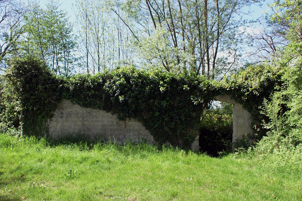 Lavoir en ruines à Saint-Maurice-De-Rémens by philetisa