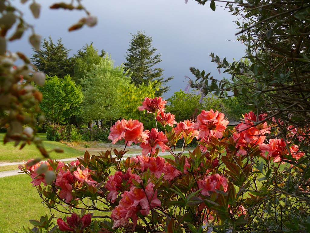 En attendant la pluie by MULTIMED2