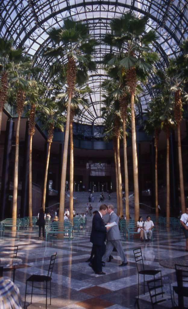 1995 8 New York, Winter Garden by mario ghezzi