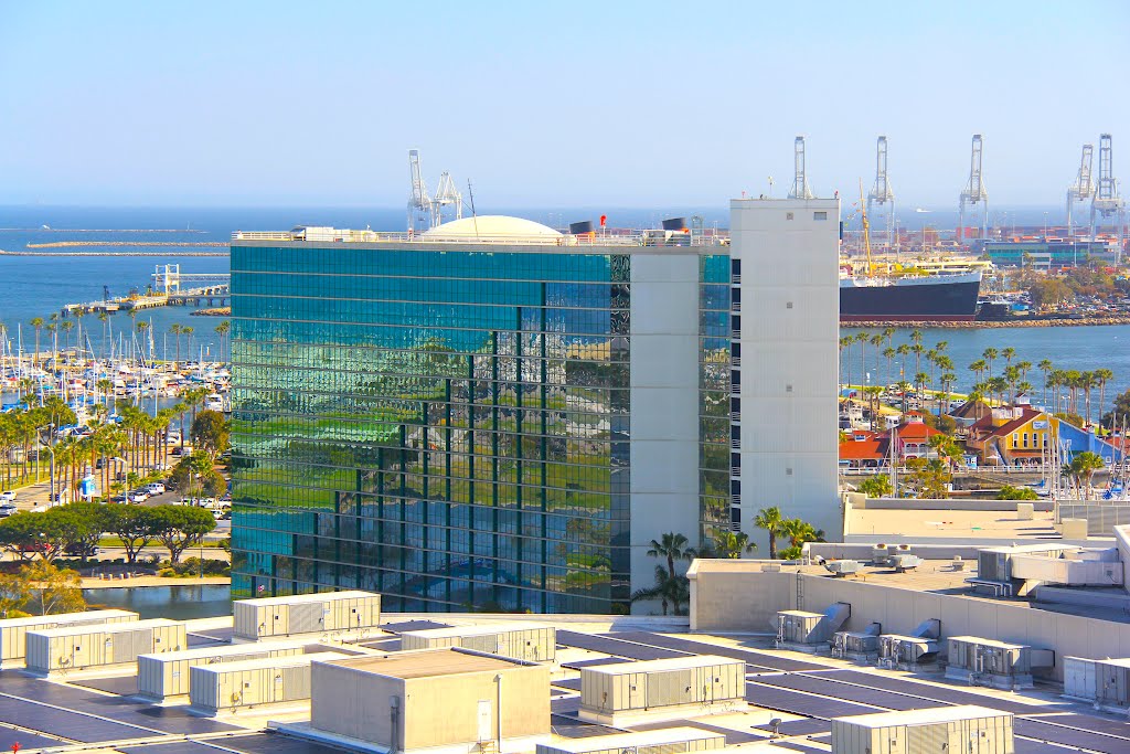 City of Long Beach, California by Michael Jiroch