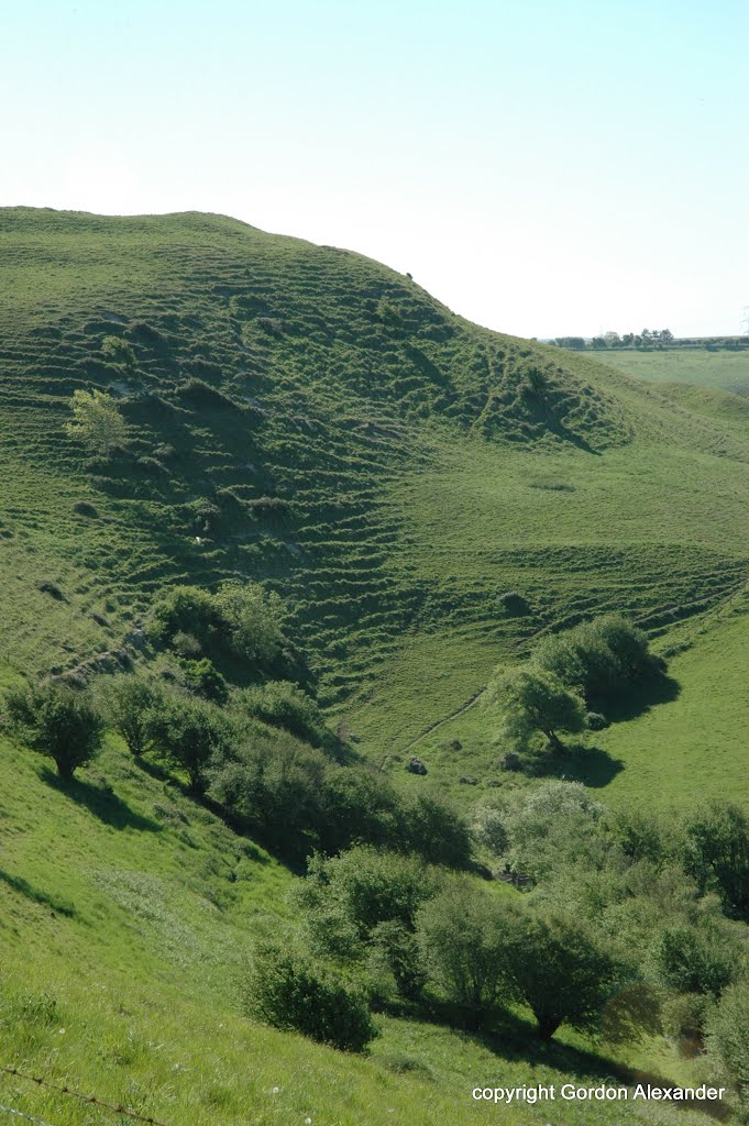 Eggardon Hill, Dorset by Gordon Alexander