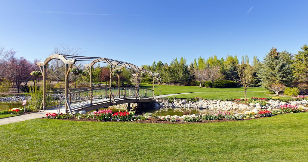 Spring Flower Bridge by Dean D