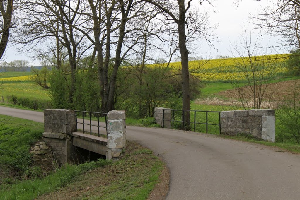 Pont sur ruisseau by ZykZak