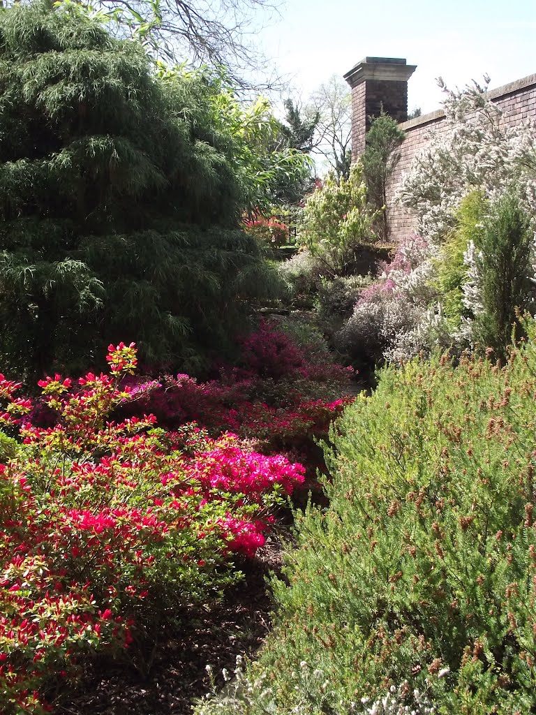 York House Gardens, Twickenham by tonywatson