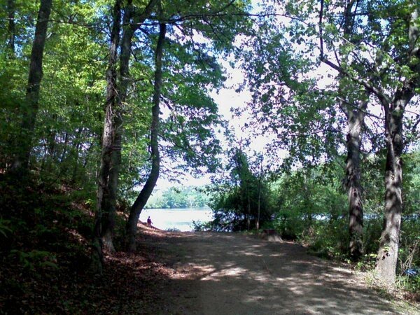 Chattahoochee River Park, Roswell, GA, USA. by BZT-0333