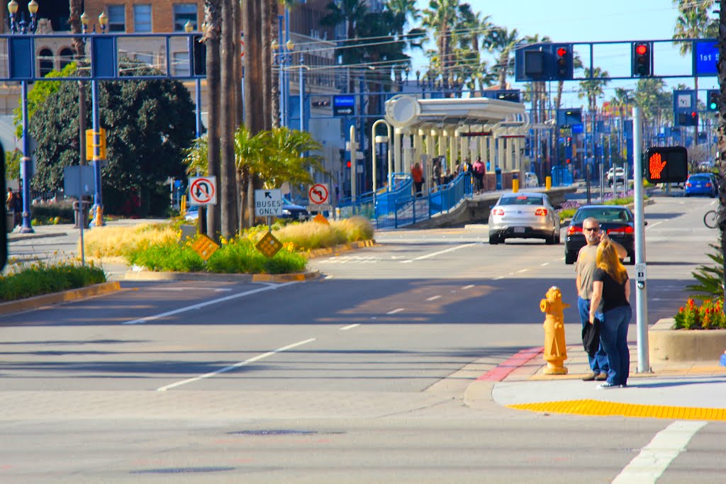 City Of Long Beach, California by Michael Jiroch