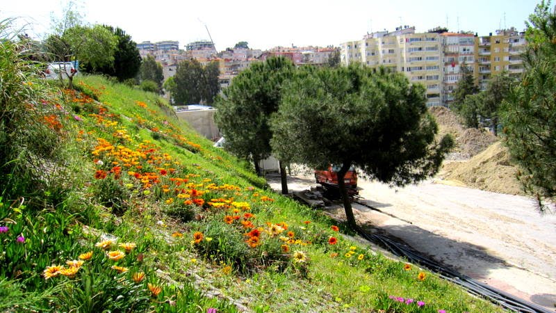 Bayırda çiçekler ve İzmir by Osman Ünlü