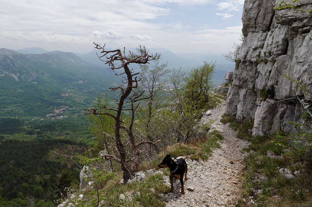 5263 Stomaž, Slovenia by Bojan Marušič