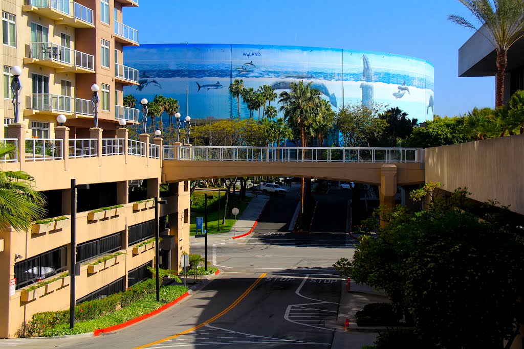 City Of Long Beach, California by Michael Jiroch