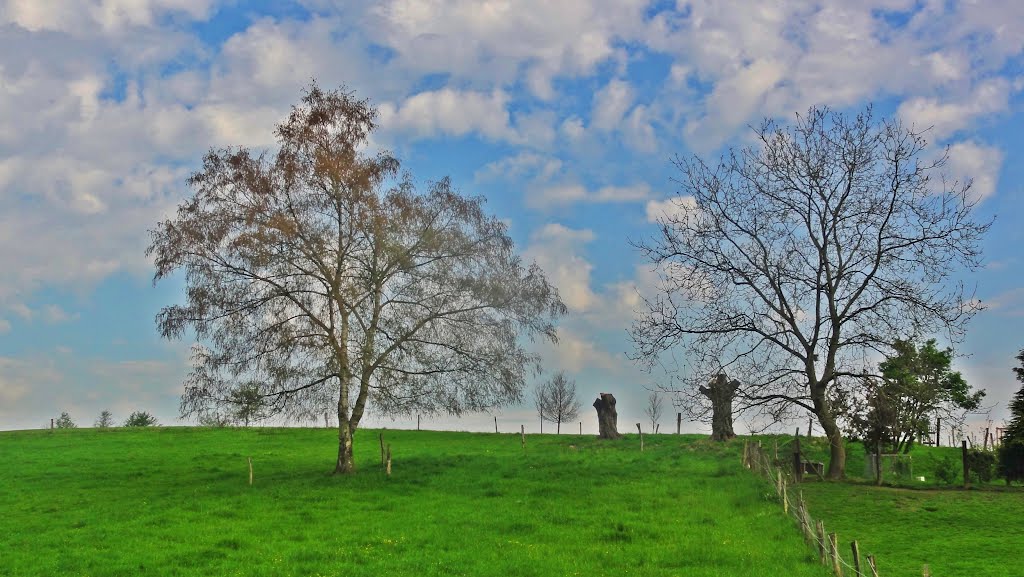 Winter oder Frühling ? by Willi Prinz