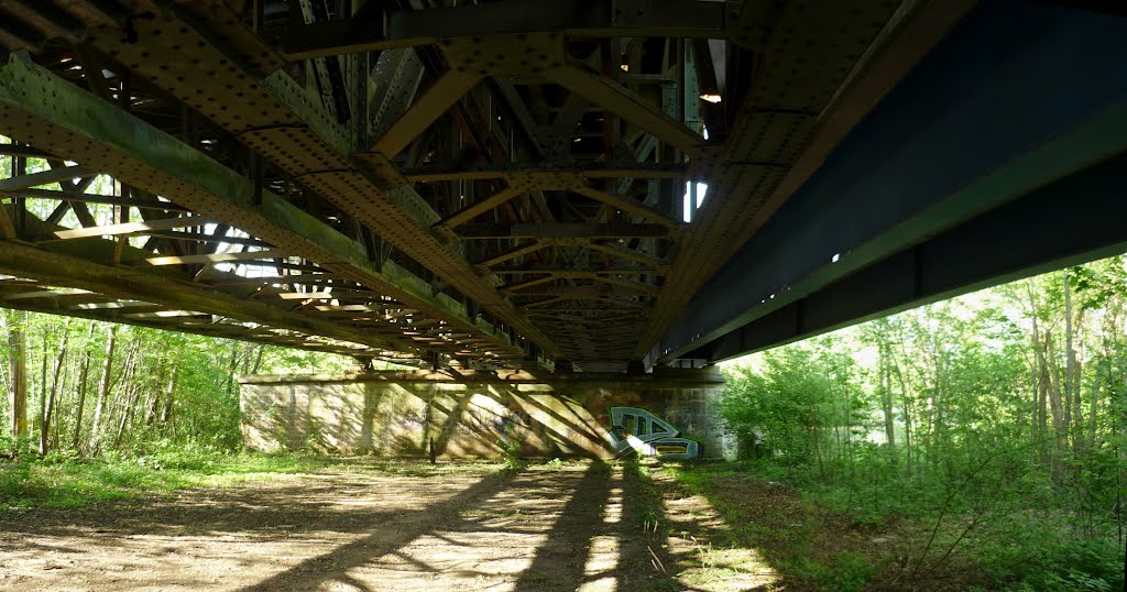 Wöhrder See - Bahnbrücke 2 by Mihai M.