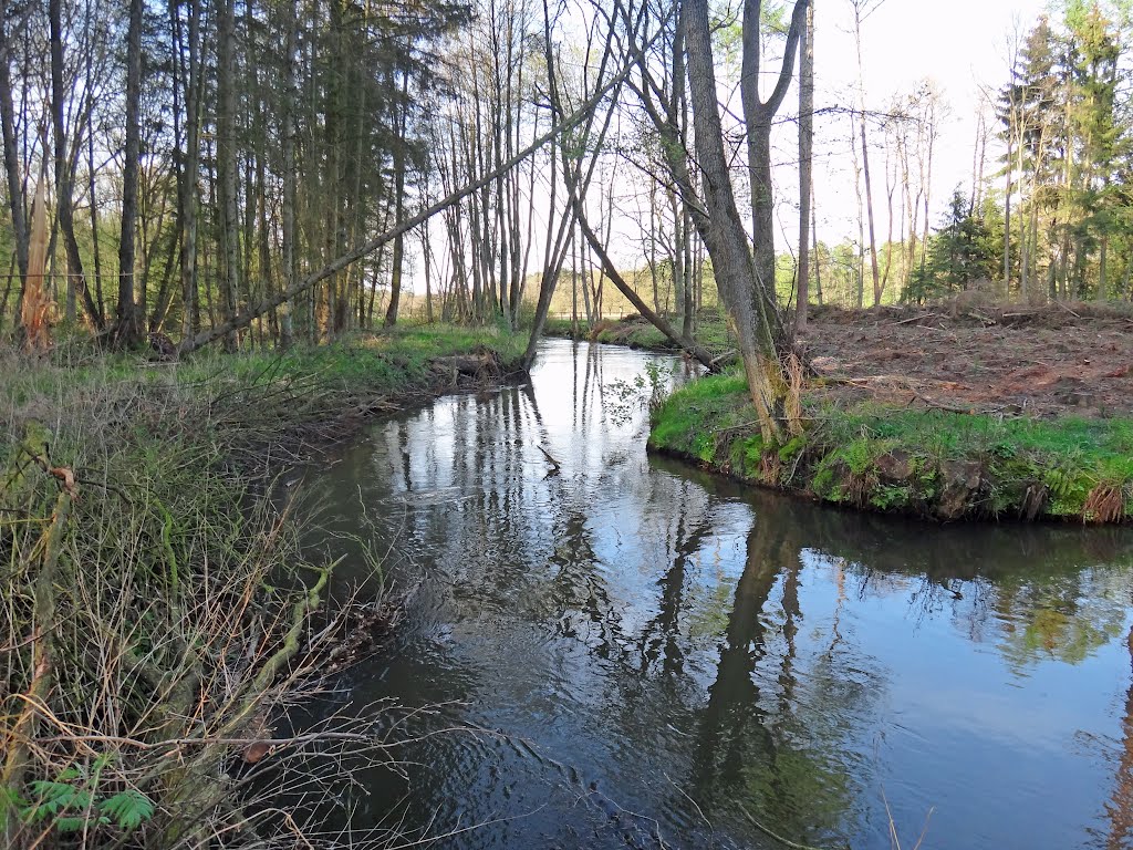 Luhe 100 m oberhalb der Lopau-Mündung by rickert-hamburg