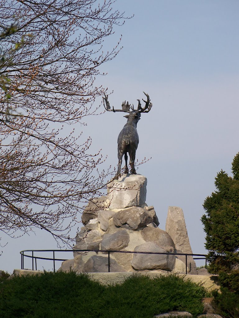 Mémorial terre-neuvien de Beaumont Hamel by Christophe LACROIX