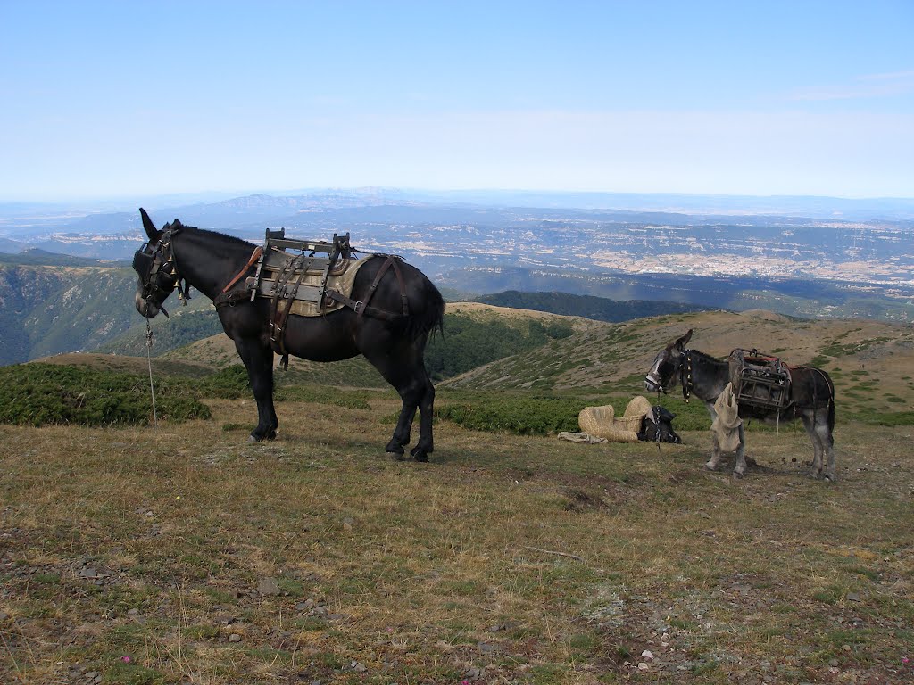 Montagne de Matagalls (Espagne) by © Lobat Ebas