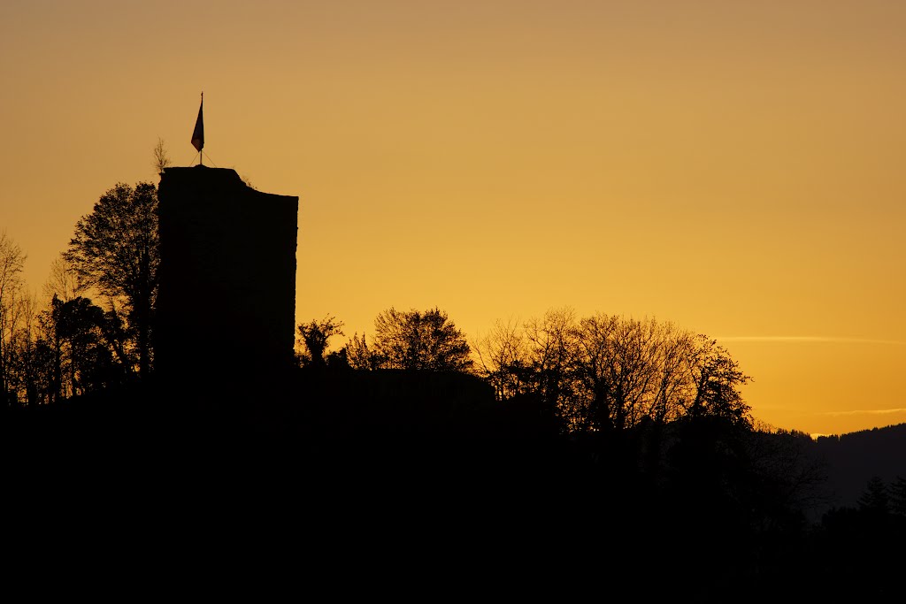 Ruine Schwerzenberg (Rheineck) by Birdsofpray