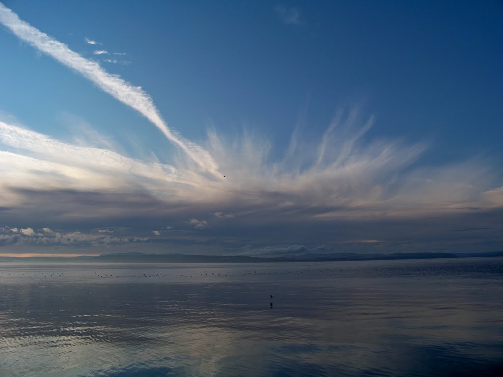 Moray Firth by FloTravel