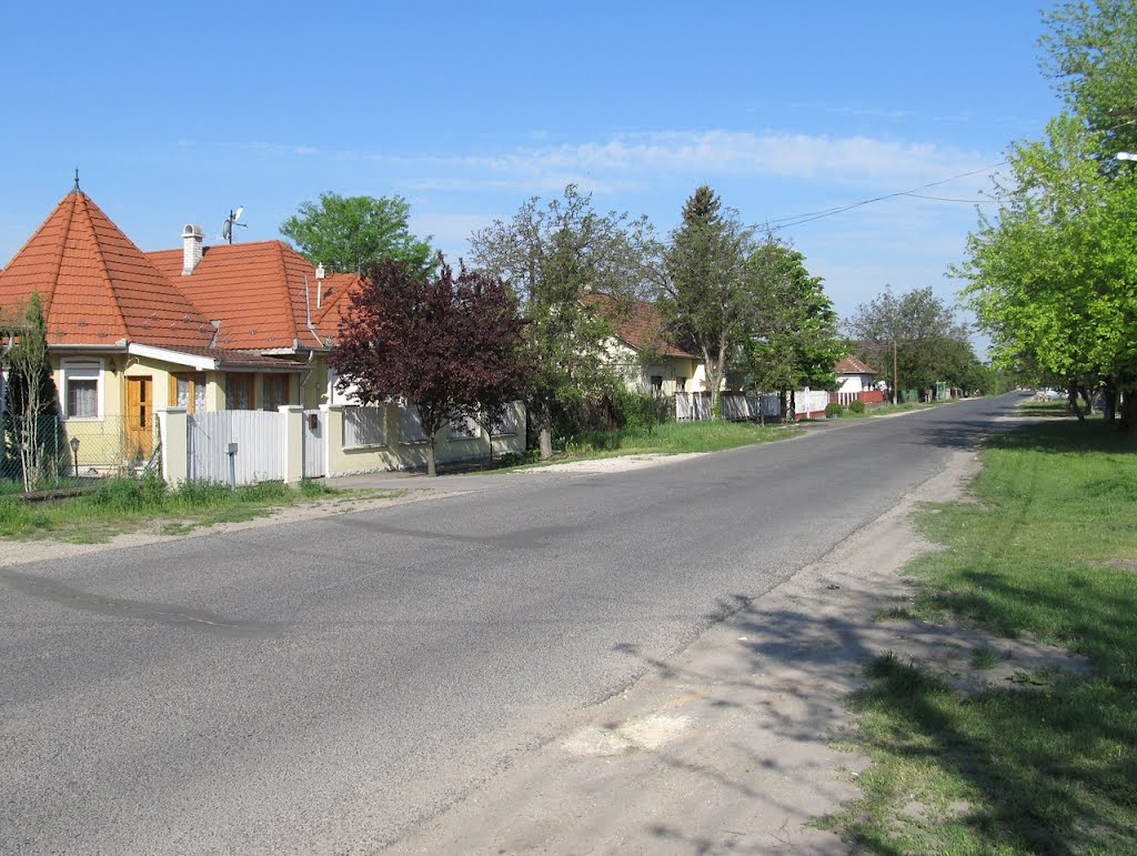 201205010914 Halásztelek, Dózsa György utca, a háziorvosi rendelő felé by Harmadik