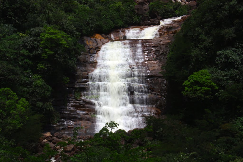 Swimming Hole Beneath Angel Falls by dakota2003