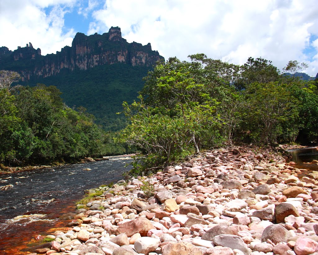 River by Tiuna Camp by Rob Gosse