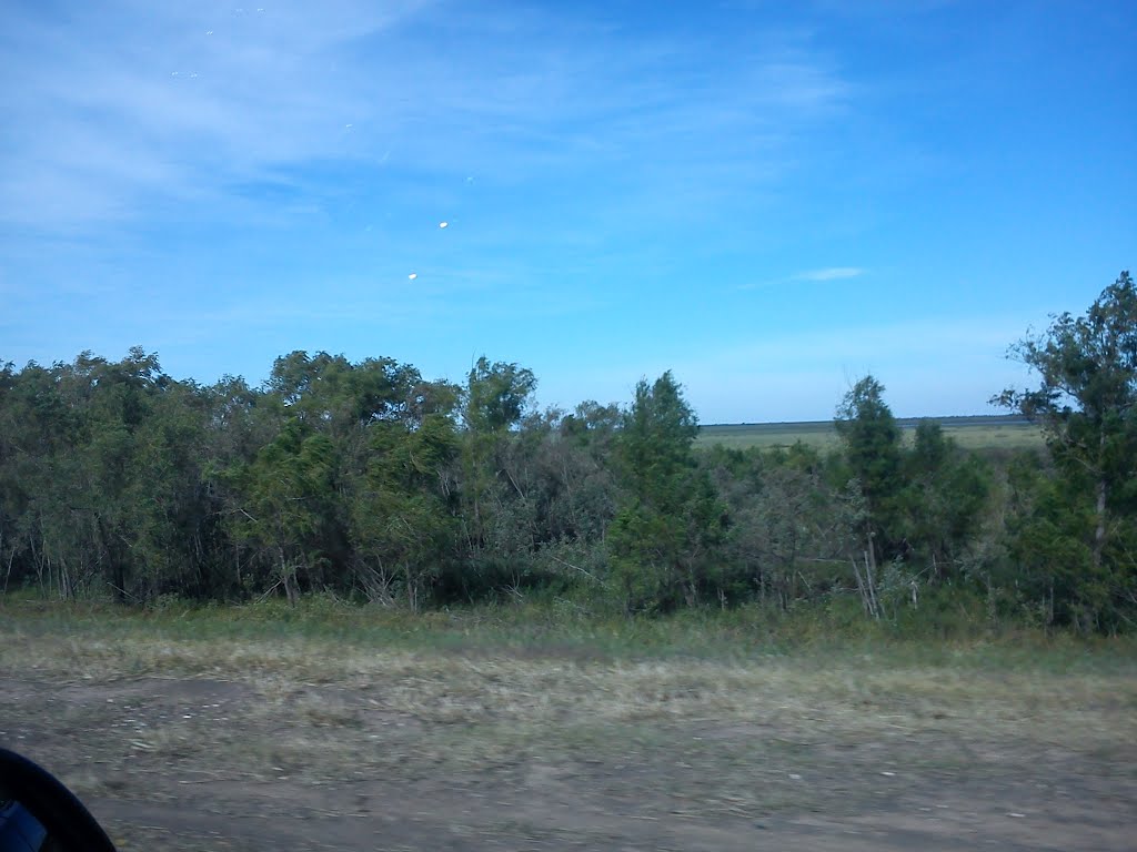 Victoria Department, Entre Rios, Argentina by Juan A. Barria