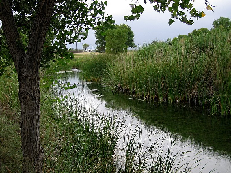 Balmorhea Springs by RoadMode