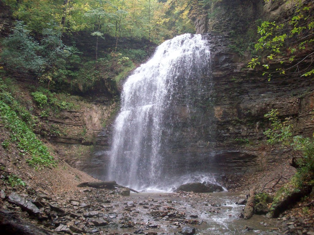 Tiffany Falls by Charles Wieland