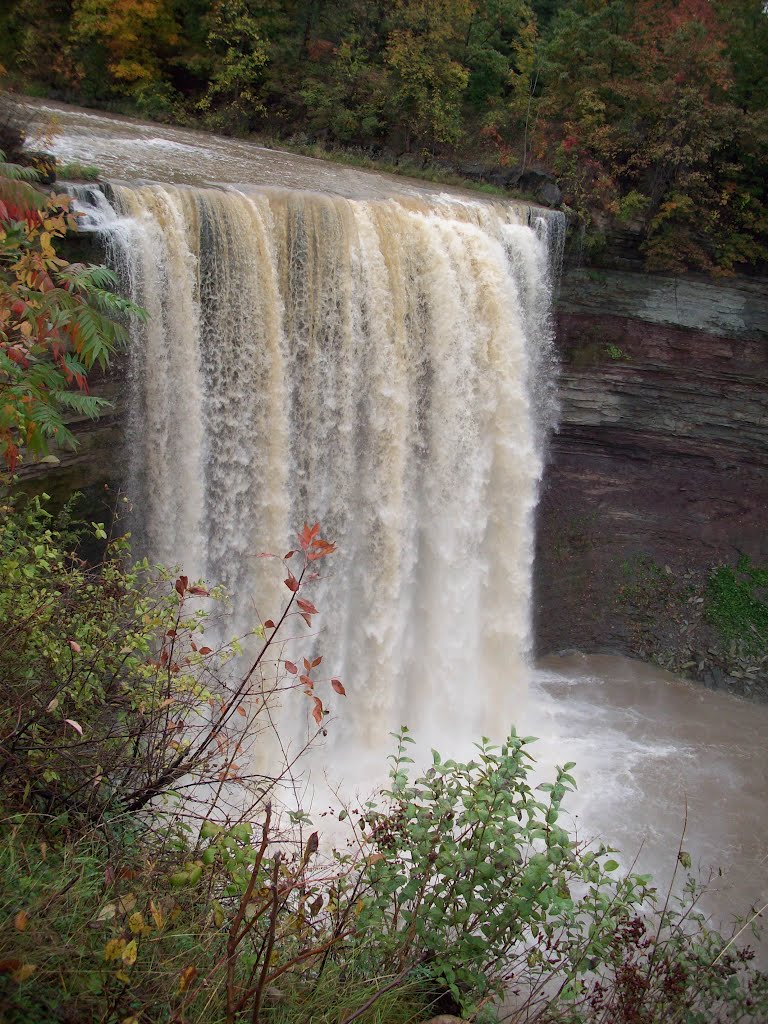 Balls Falls by Charles Wieland