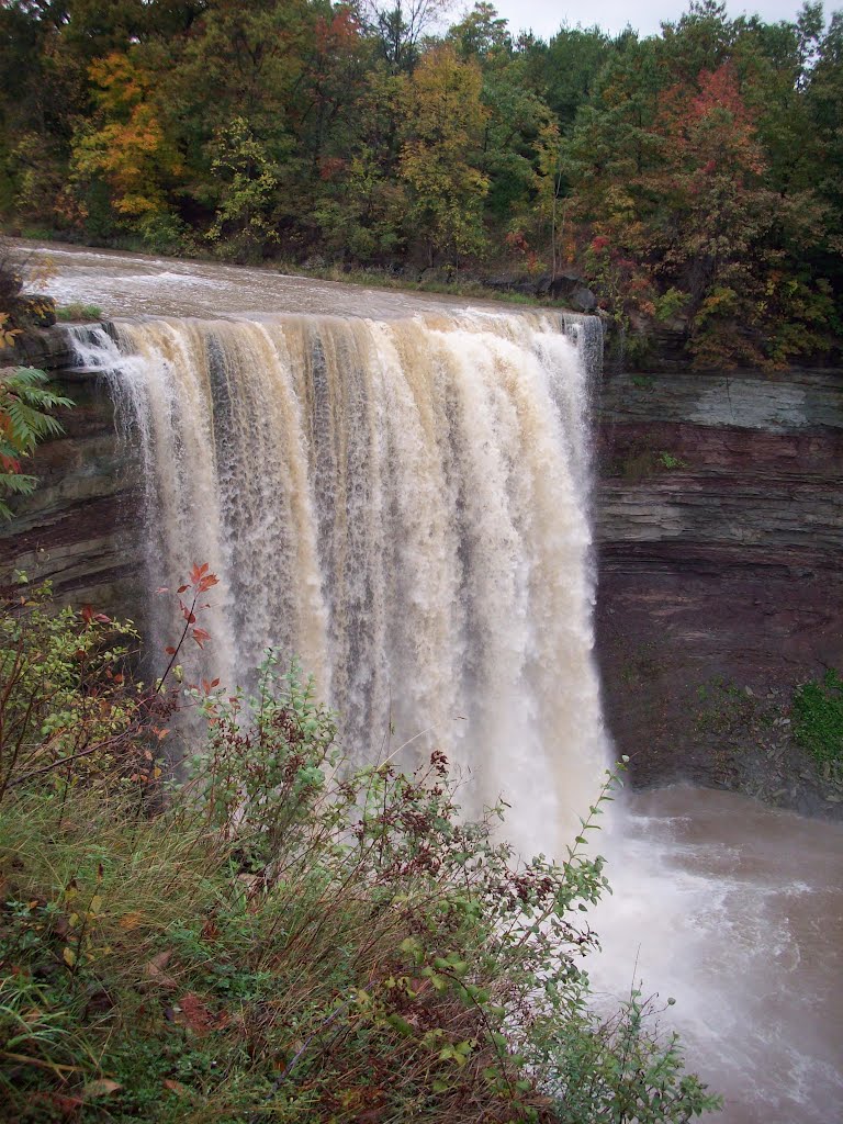 Balls Falls by Charles Wieland