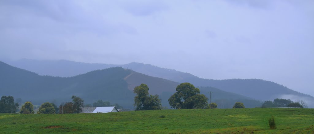 Porepunkah rural by ΅ PhotoKazia ΅