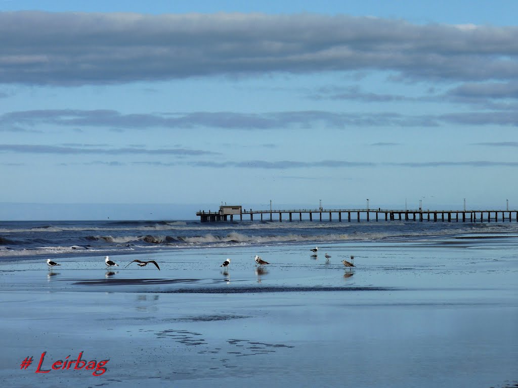 Muelle de Mar de Ajó y gaviotas by ►Leirbag