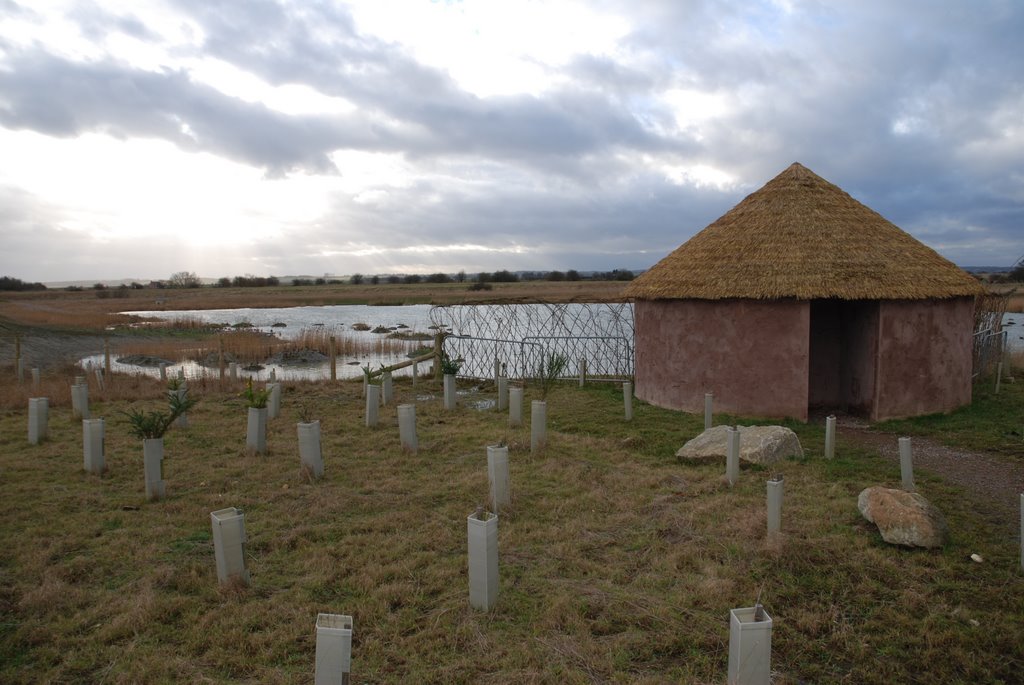 Fiskerton Fen Nature Reserve by Ken Rider