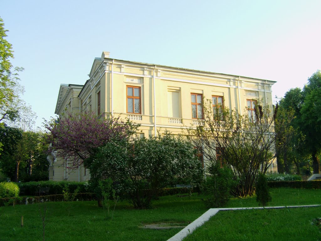 Palatul copiilor. Iasi. by other1_f