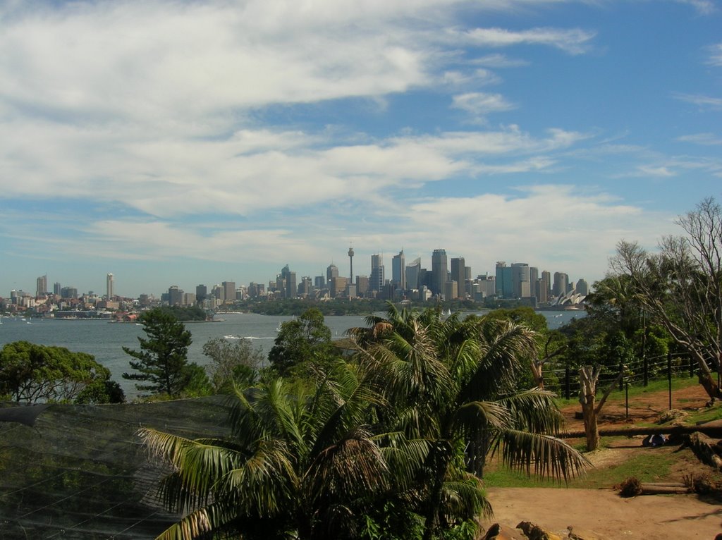 Sydney harbour from taronga by mohkai