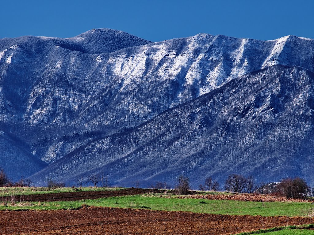 VELEBIT by Damir Alter