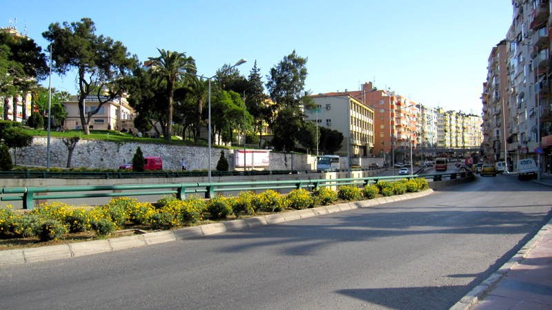 İnönü caddesi üstü park ağaçları by Osman Ünlü