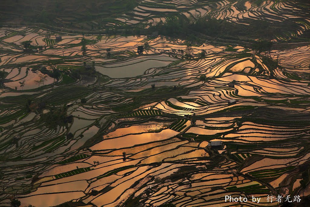 哈尼梯田（Hani Treeaces）， Yuanyang ， Yunnan ， China by 行者无路