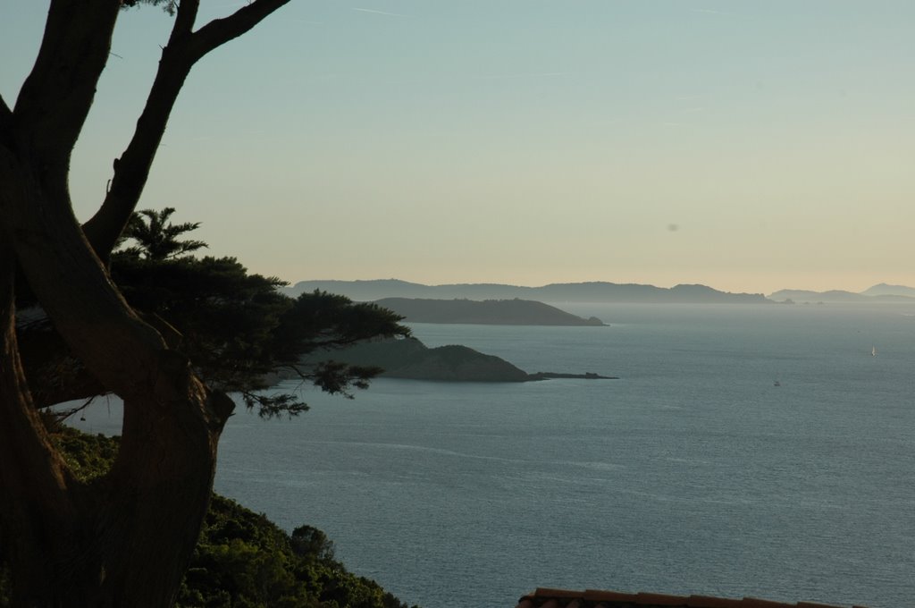 Ile du Levant France by Robert VINCENT