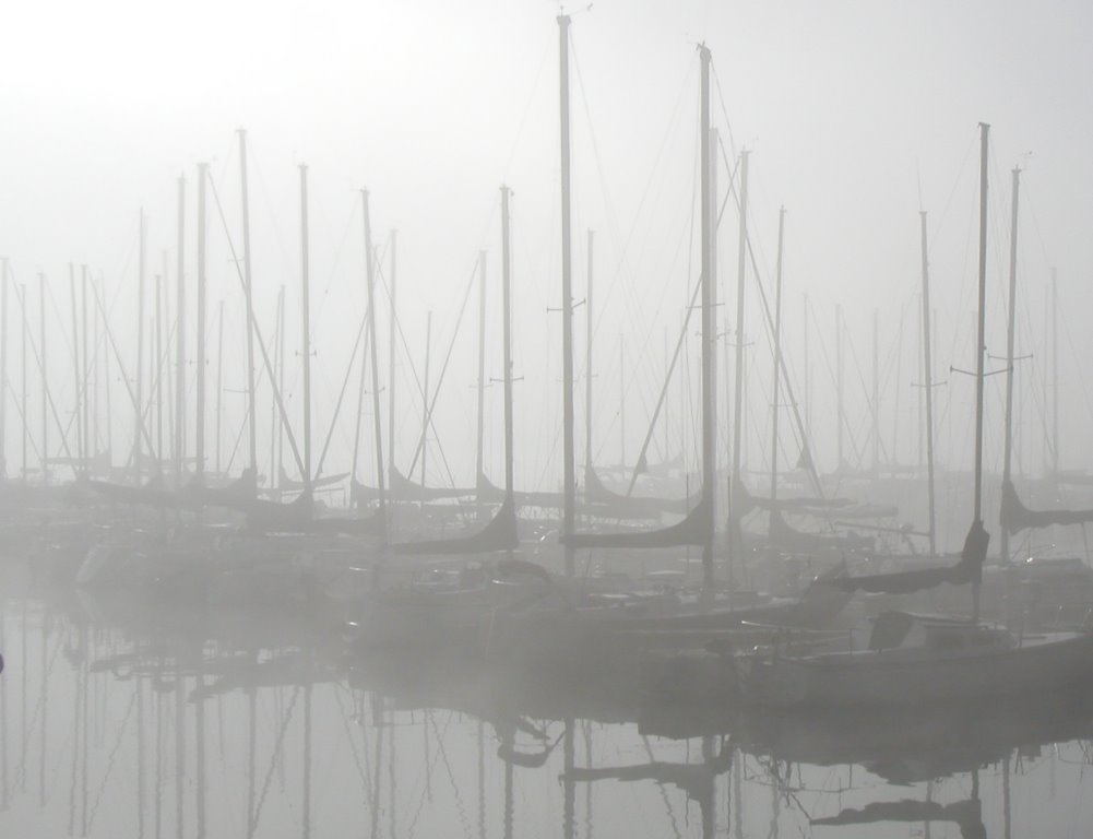 Marina Fog - Sunrise Cove Marina by Jim Barnes