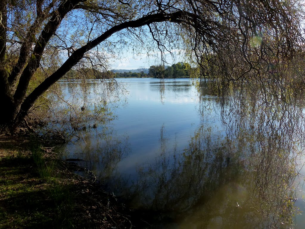 Wodonga Sumsion Gardens by dijest