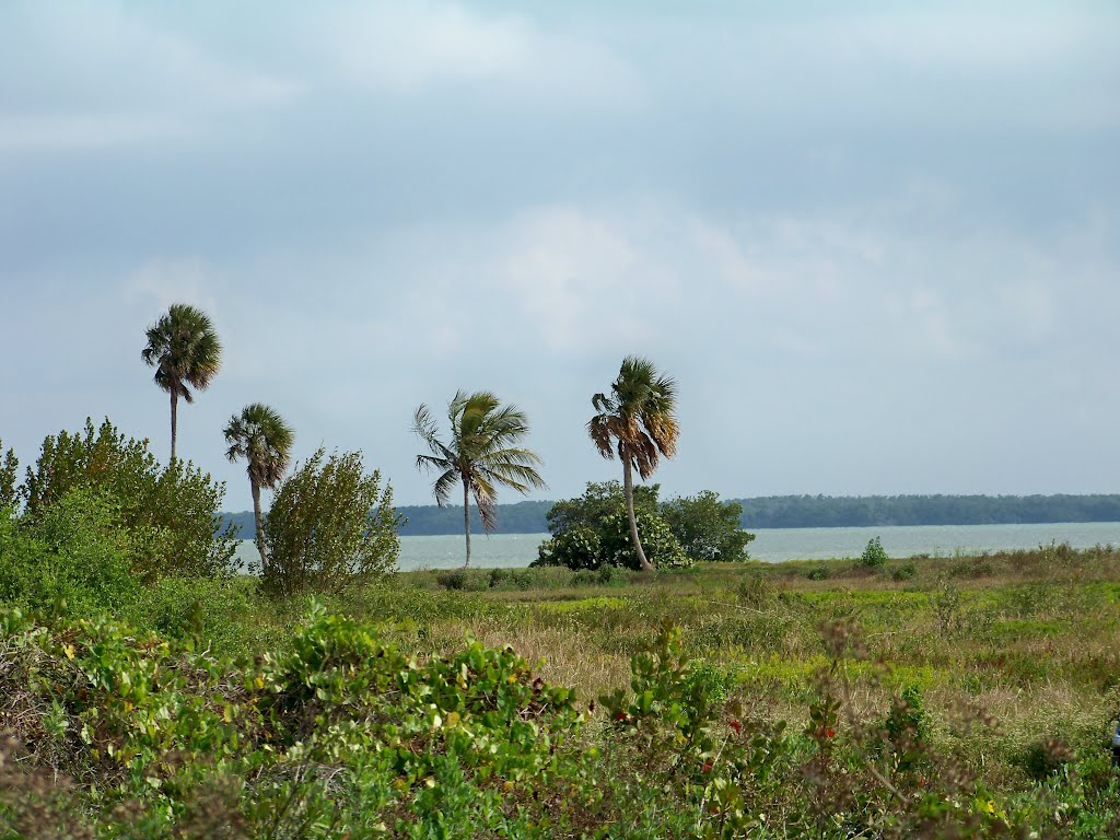 Flamingo Point by FloTravel