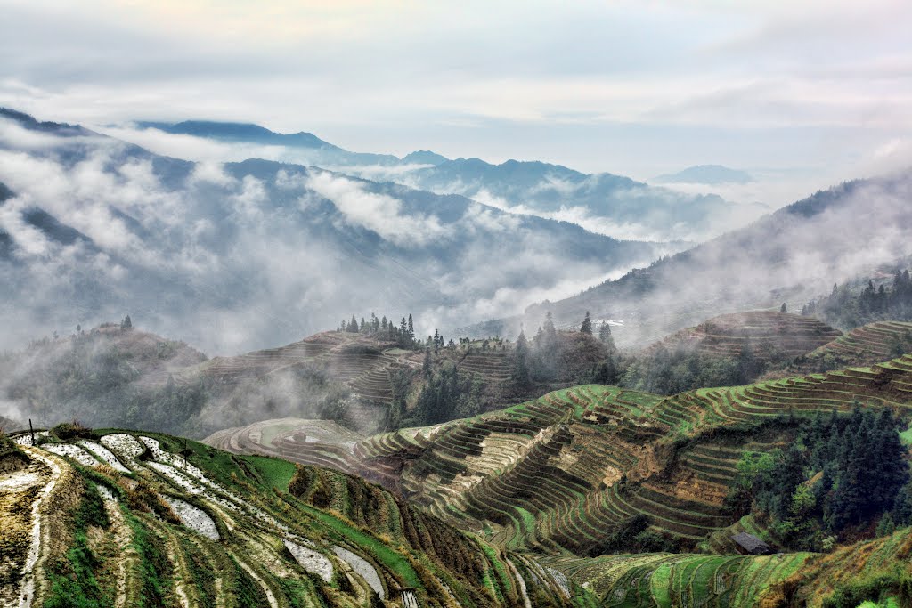 Rice Terraces in Guilin, China_9 by Lam Sing Hok