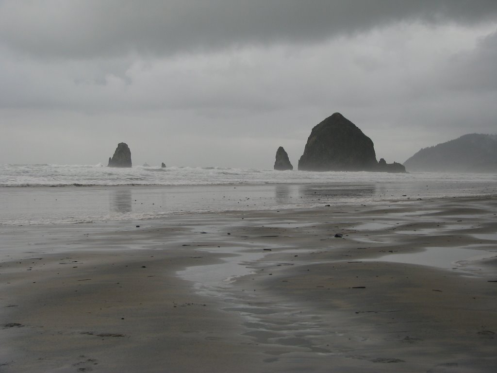 Haystack Rock in the Tide by Dana Jensen