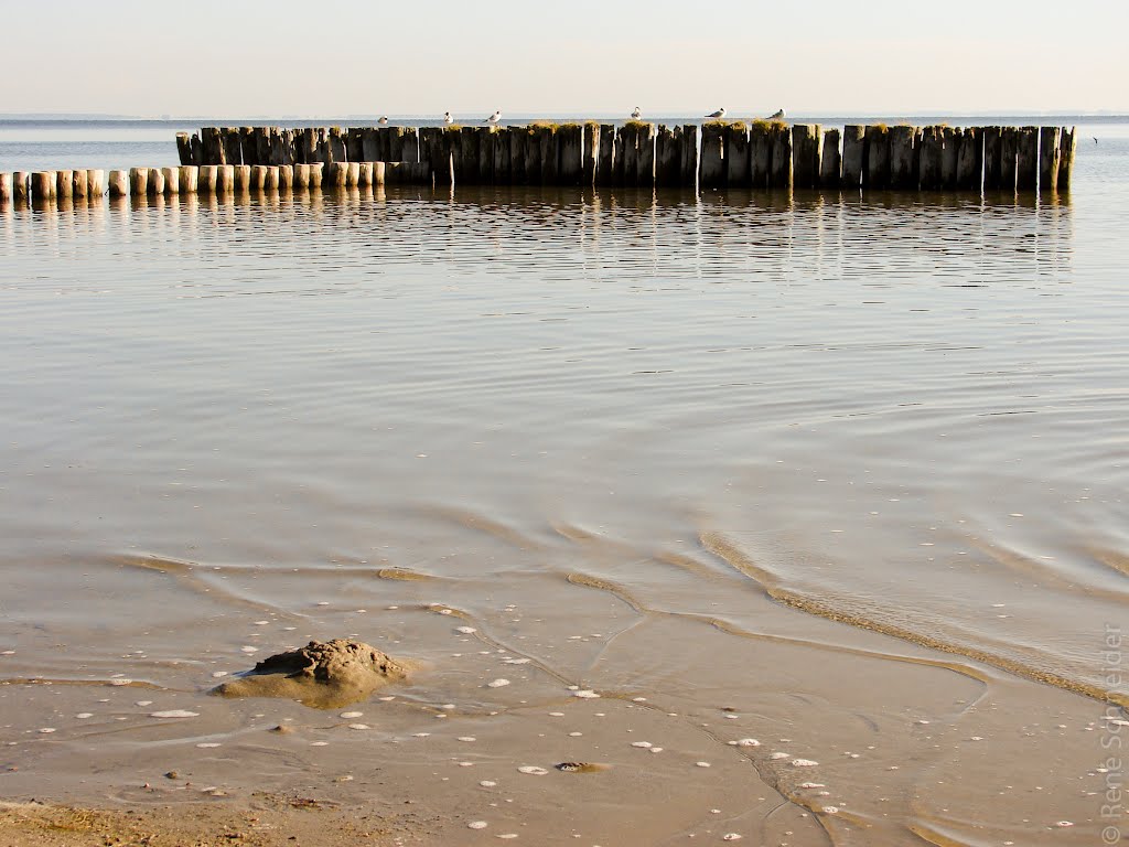 2008 Strand Kamminke by René Schneider