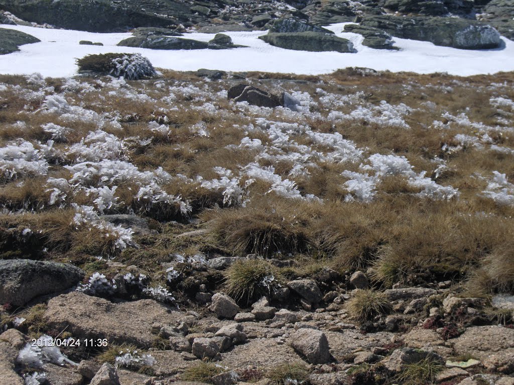 Serra da Estrela / Portugal by Carlos Gaspar