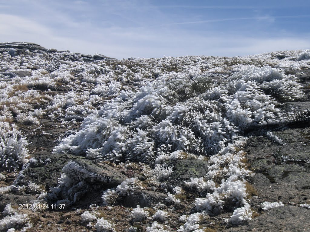 Serra da Estrela / Portugal by Carlos Gaspar