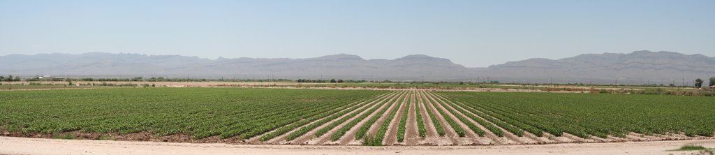 Looking into Mexico From Texas by dallas1959