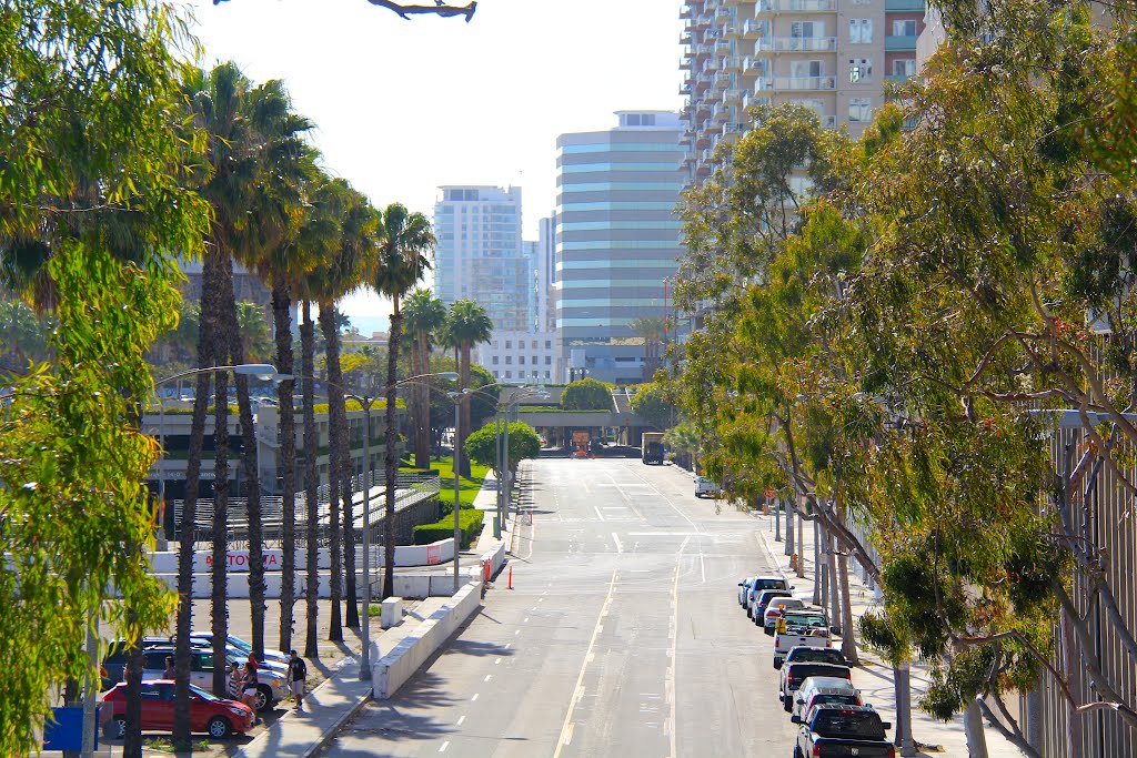 City of Long Beach, California by Michael Jiroch